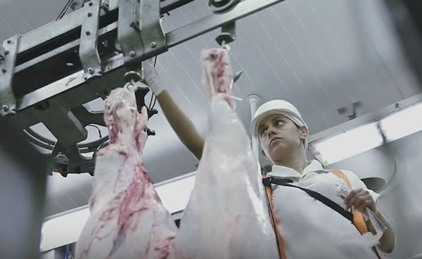Propaganda da Marfig mostra funcionário em frigorífico.  Empresa foi autuada por não comunicar doenças.  Foto: Reprodução