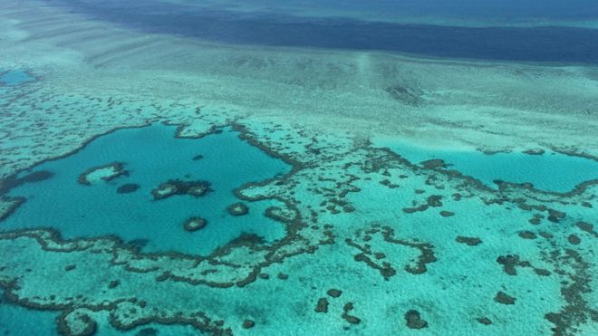 Aquecimento afeta barreira, preocupando o governo australiano